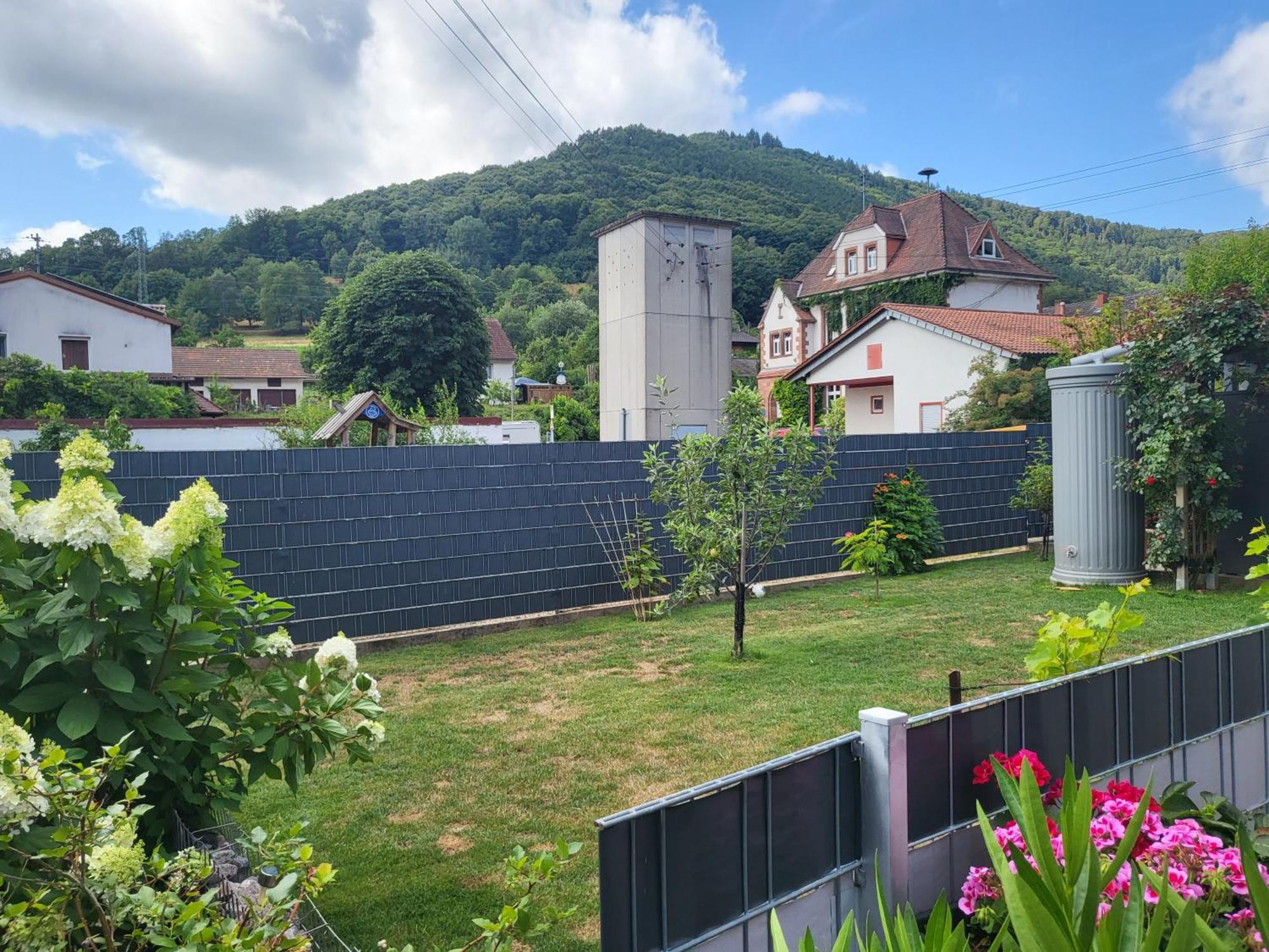 Ferienwohnung Schardt Annweiler am Trifels Exterior photo